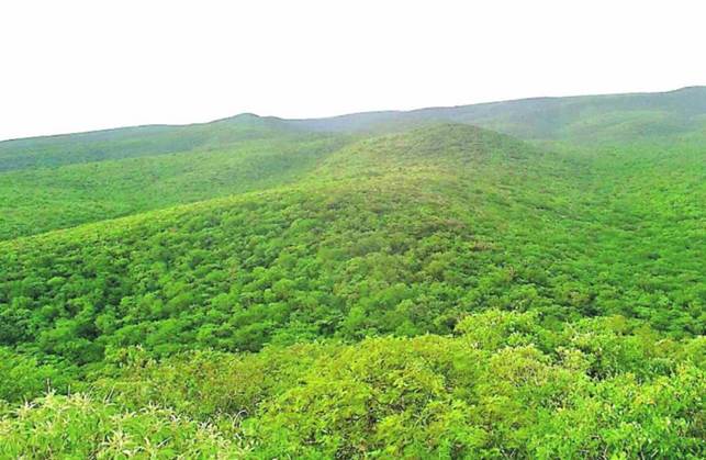 http://www.abc.com.py/imagenes/2015/01/30/vista-del-parque-nacional-defensores-del-chaco-donde-esta-el-cerro-leon-_879_573_1190946.jpg